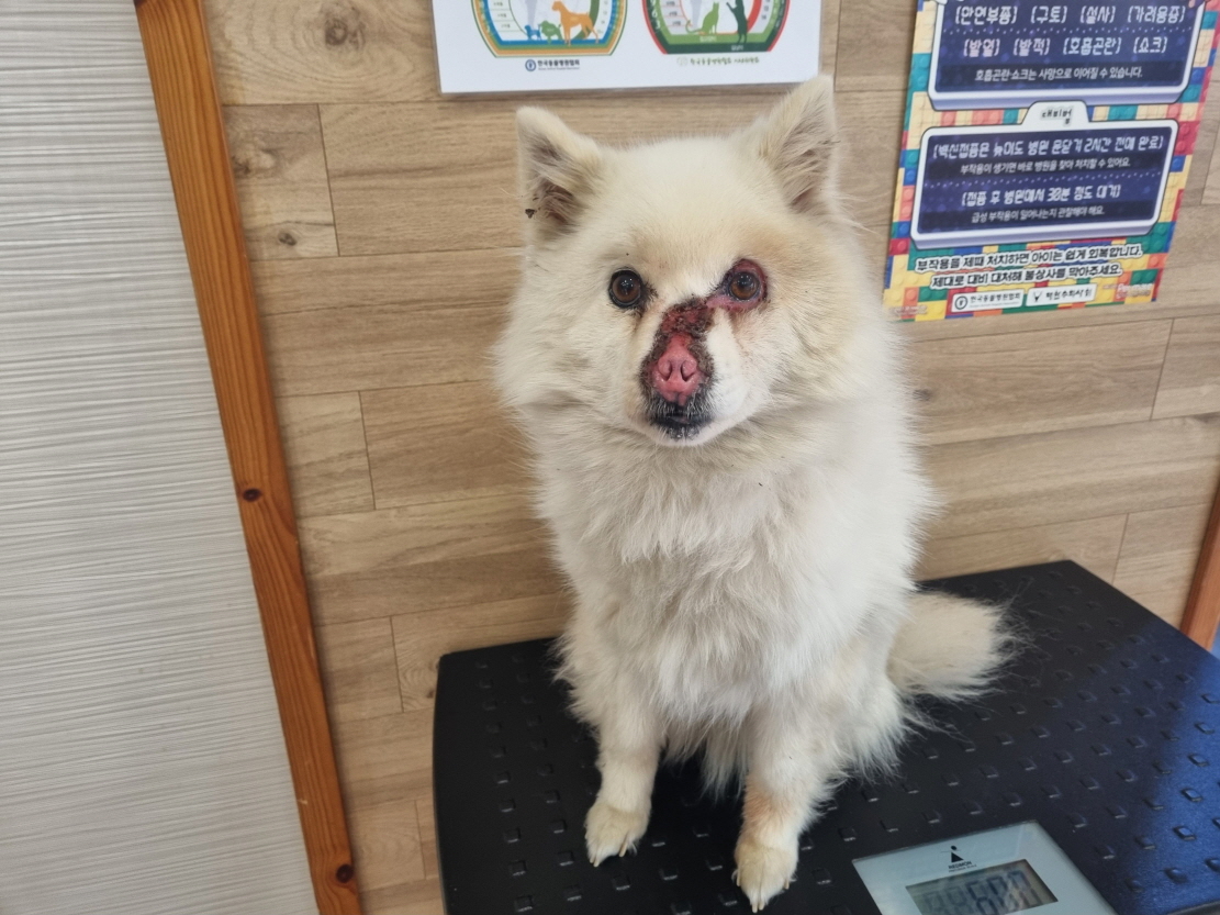 프렌즈동물병원_445464202301302