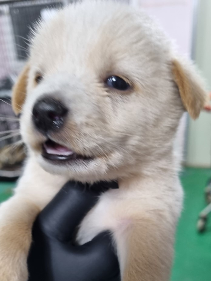 밀양시동물보호센터_448536202300568