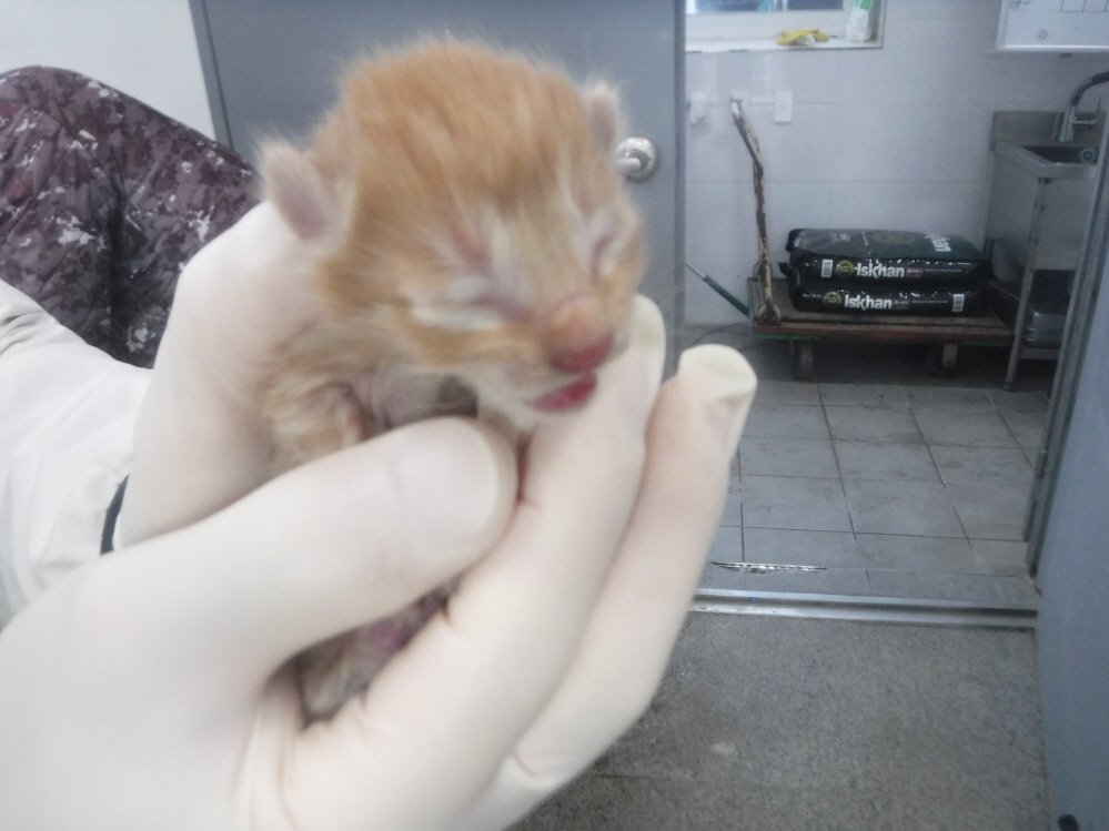 제주 동물보호센터_450650202301013