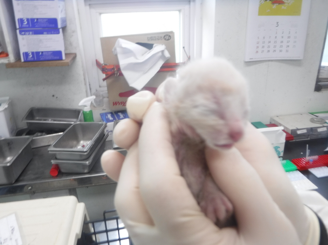 제주 동물보호센터_450650202301016