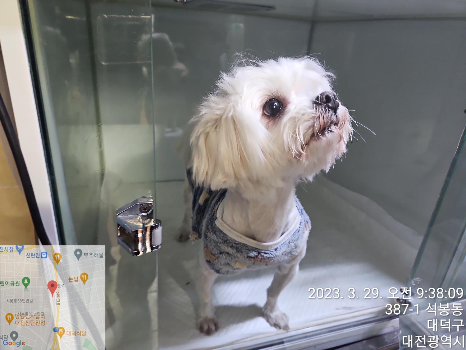 대전동물보호센터_430368202300050