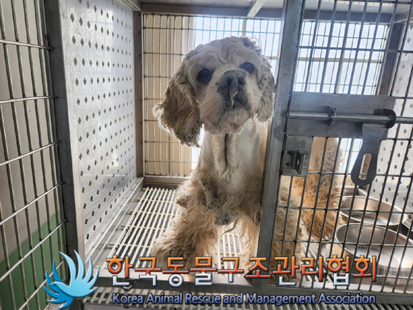 한국동물구조관리협회_441559202300122