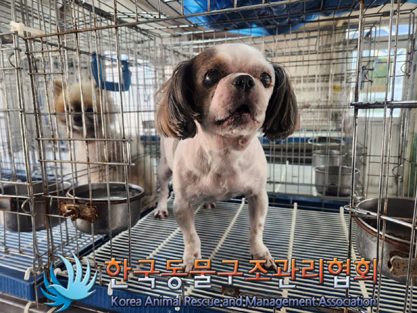 한국동물구조관리협회_411306202300221