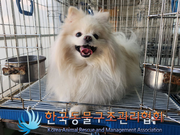 한국동물구조관리협회_411322202300196