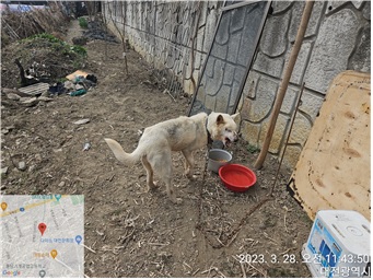 대전동물보호센터_430365202300058
