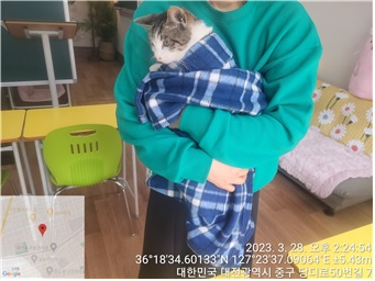 대전동물보호센터_430365202300060