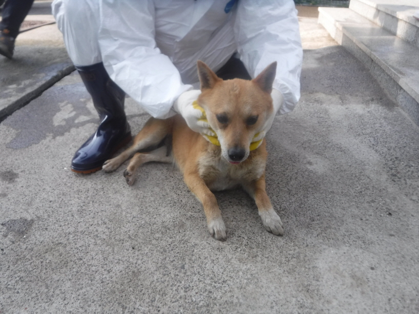 제주 동물보호센터_450650202301020