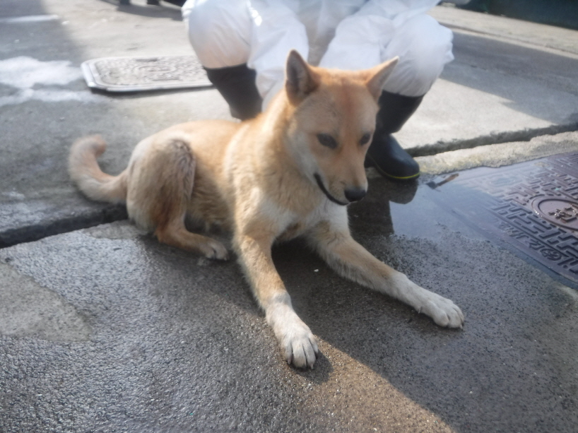제주 동물보호센터_450650202301019