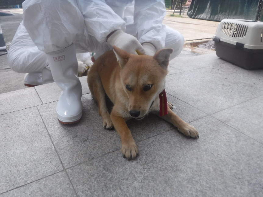 제주 동물보호센터_450650202301021