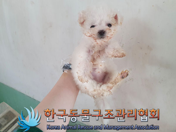한국동물구조관리협회_411303202300093