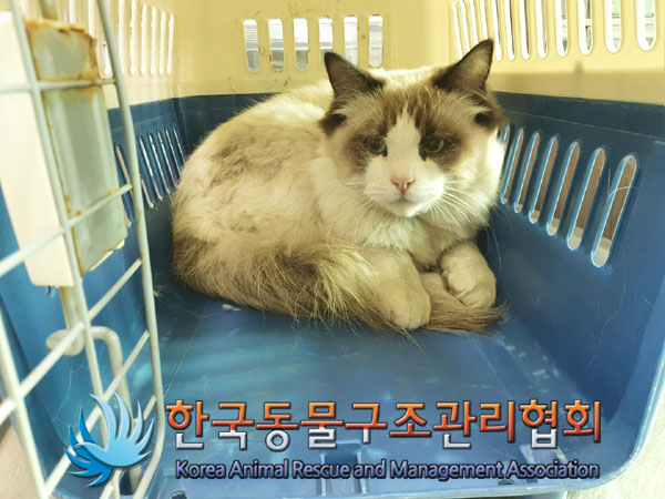 한국동물구조관리협회_411305202300099