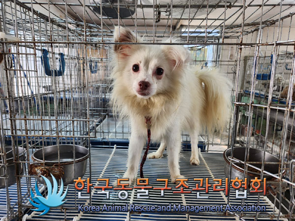 한국동물구조관리협회_411317202300070
