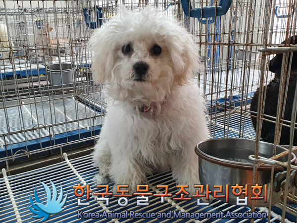 한국동물구조관리협회_441559202300123