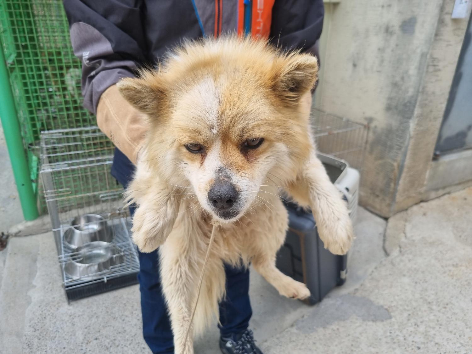 양산시 동물보호센터_448538202300148