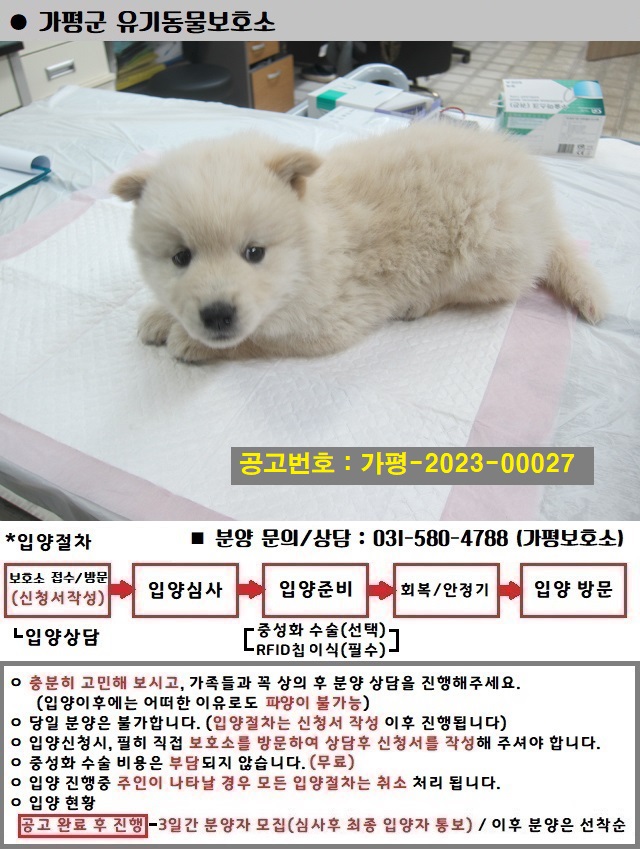 가평군유기동물보호소_441416202300064