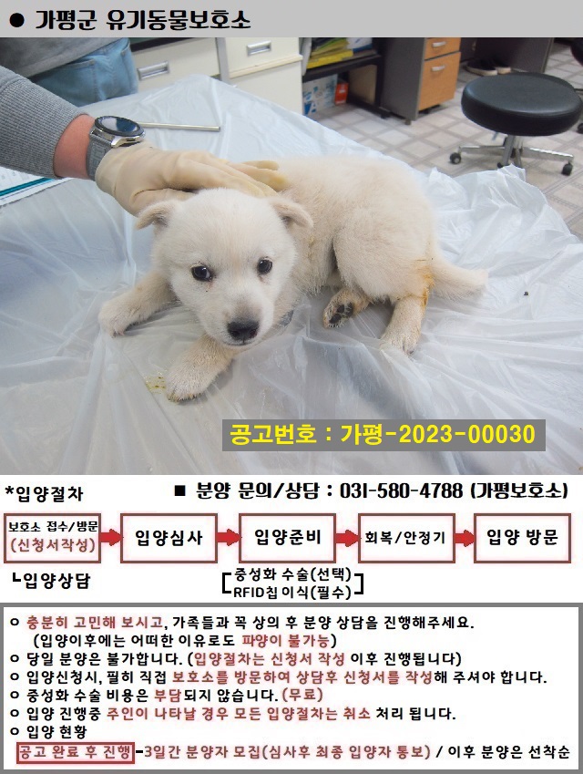 가평군유기동물보호소_441416202300067