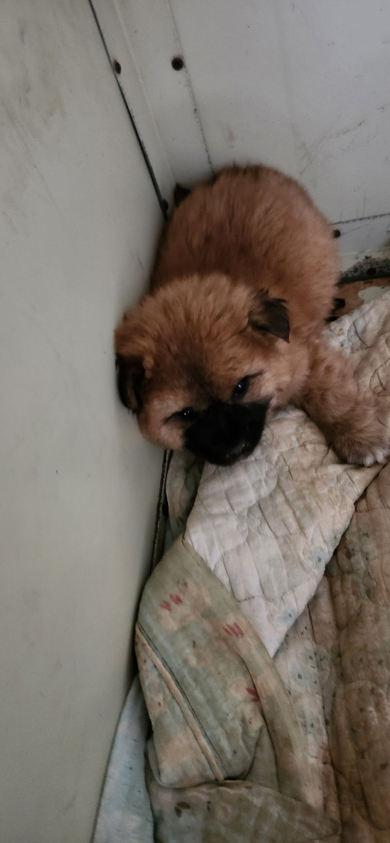 익산유기동물보호소_445468202300554