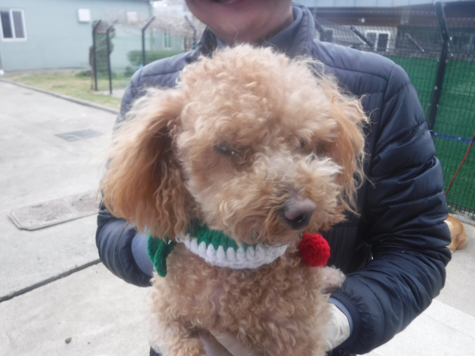 제주 동물보호센터_450650202301050