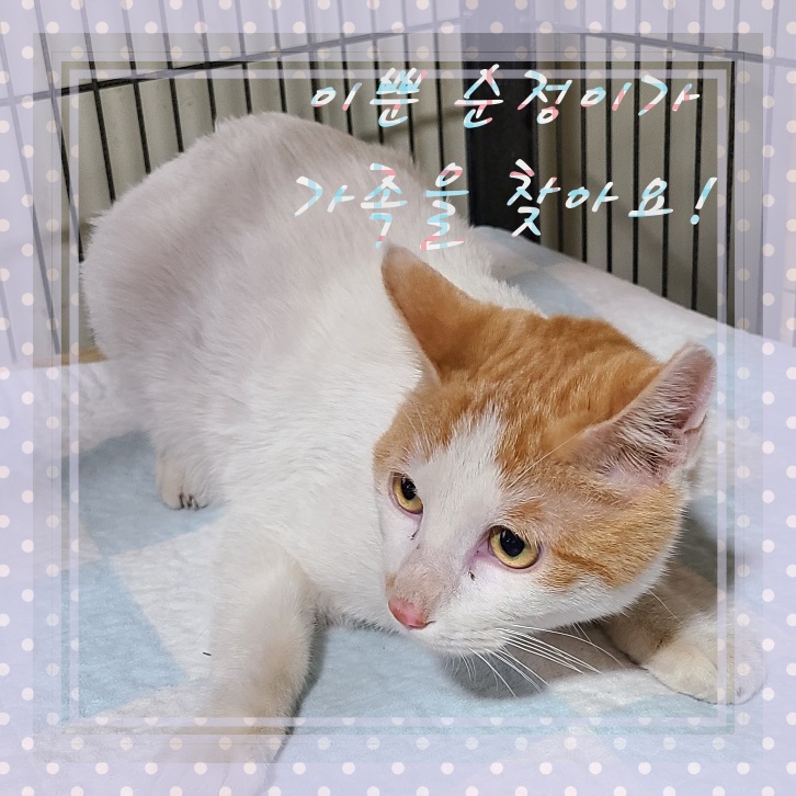 군산유기동물보호센터_445467202300392
