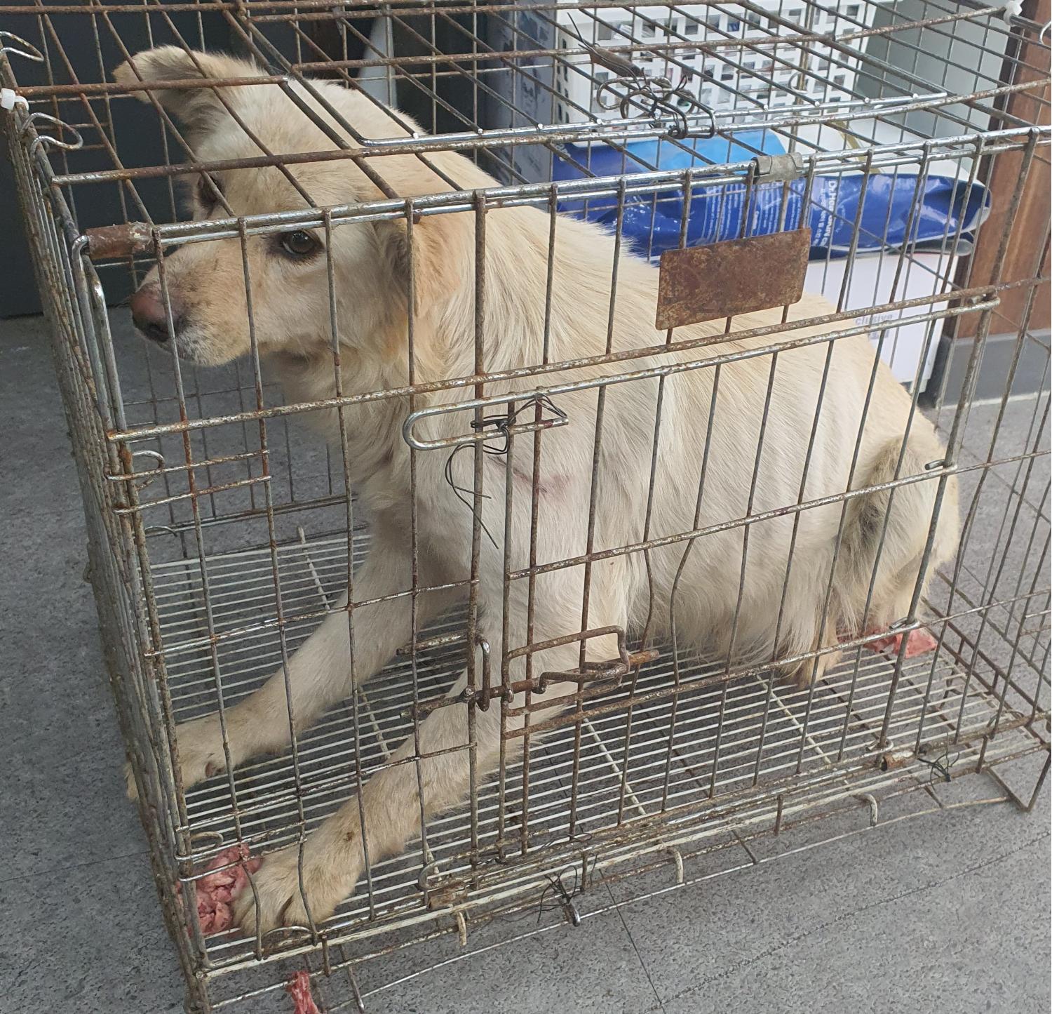 베스트동물병원_428357202300202