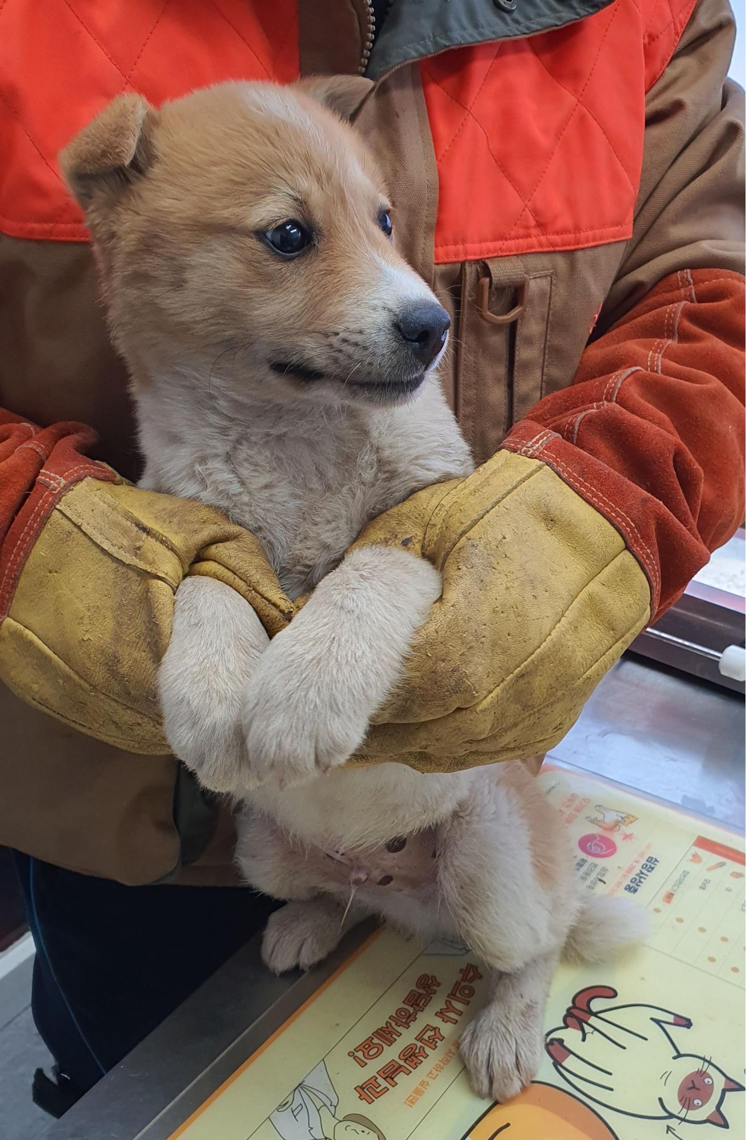 베스트동물병원_428357202300209