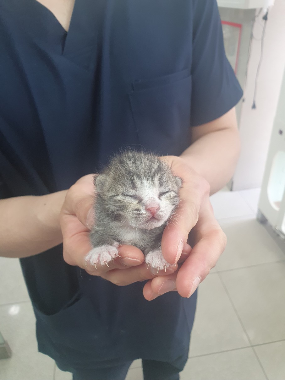 둔촌동물병원_411324202300106
