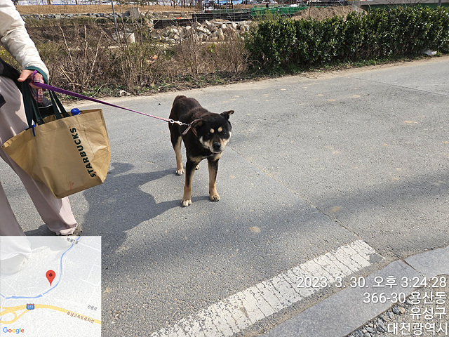 대전동물보호센터_430367202300084