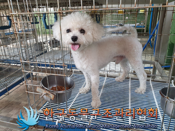 한국동물구조관리협회_441398202300085