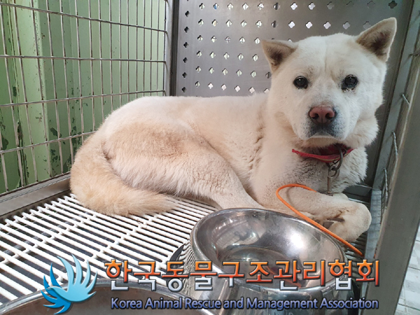 한국동물구조관리협회_441560202300301
