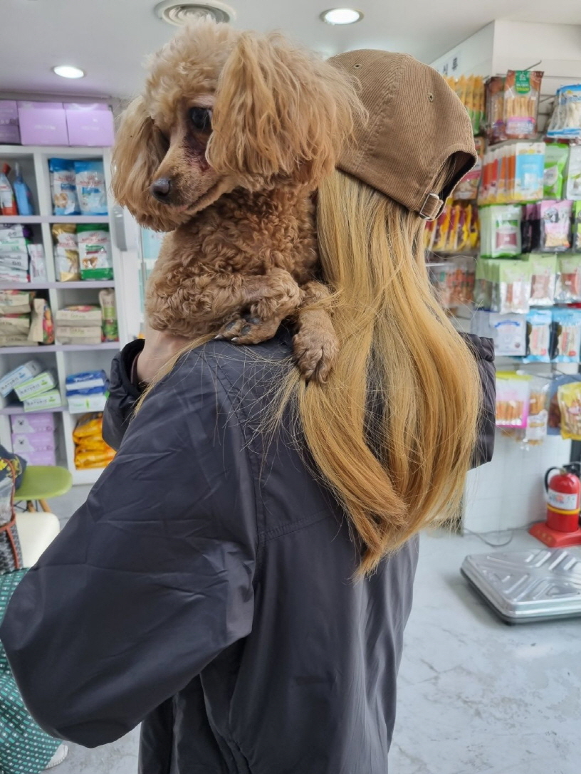 남산동물병원_411302202300145