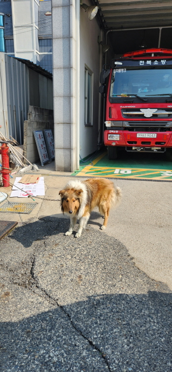 익산유기동물보호소_445468202300571