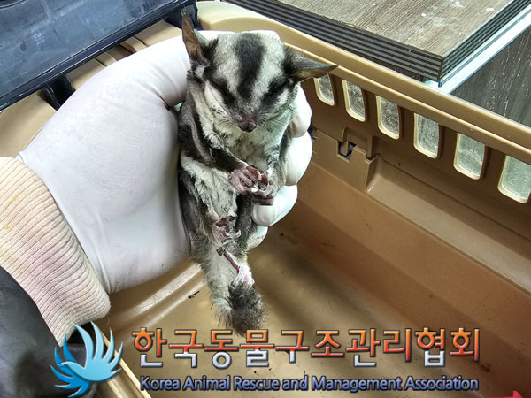 한국동물구조관리협회_411303202300107