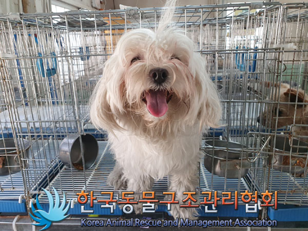 한국동물구조관리협회_411305202300103
