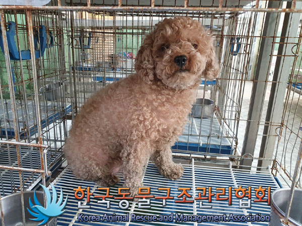 한국동물구조관리협회_411301202300197