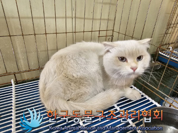 한국동물구조관리협회_411310202300103