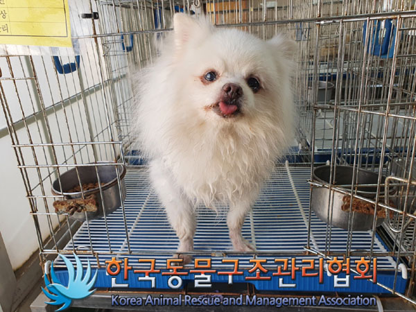 한국동물구조관리협회_411306202300226