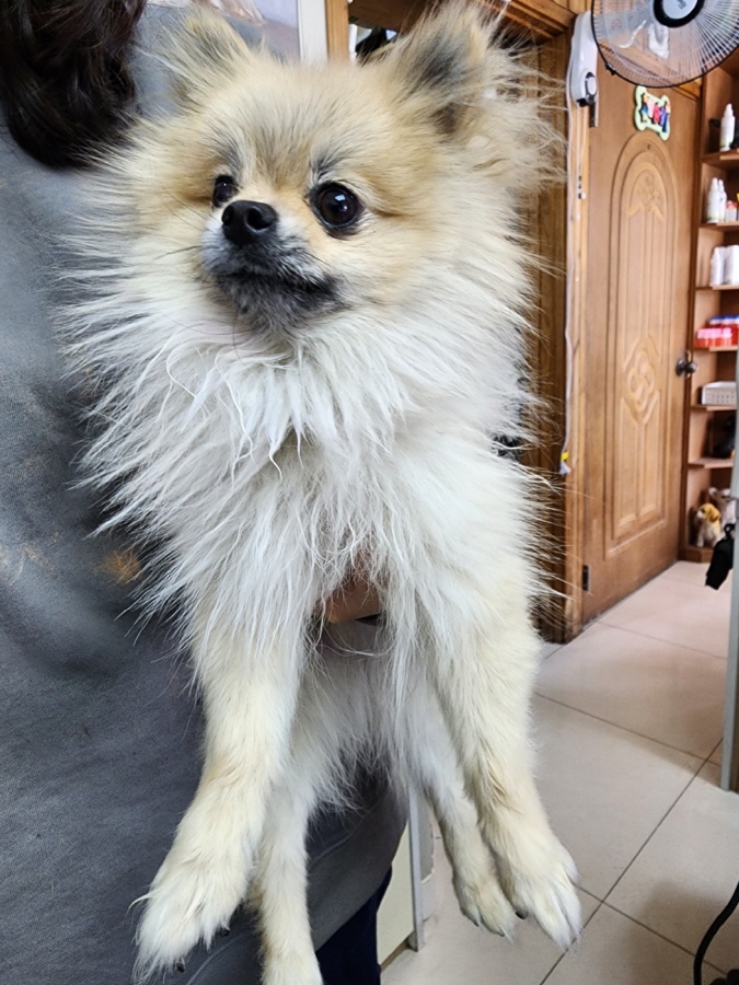 이성준동물병원_441408202300268