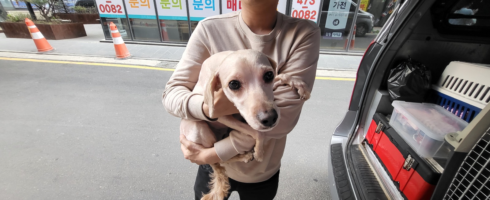 둔촌동물병원_411324202300182