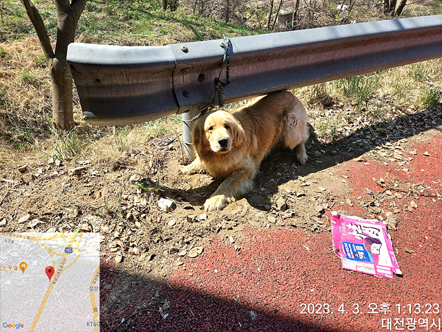 대전동물보호센터_430367202300087