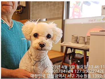 대전동물보호센터_430366202300152