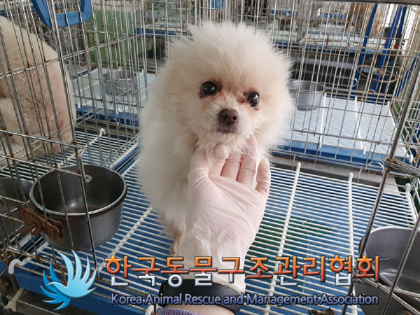 한국동물구조관리협회_441559202300132