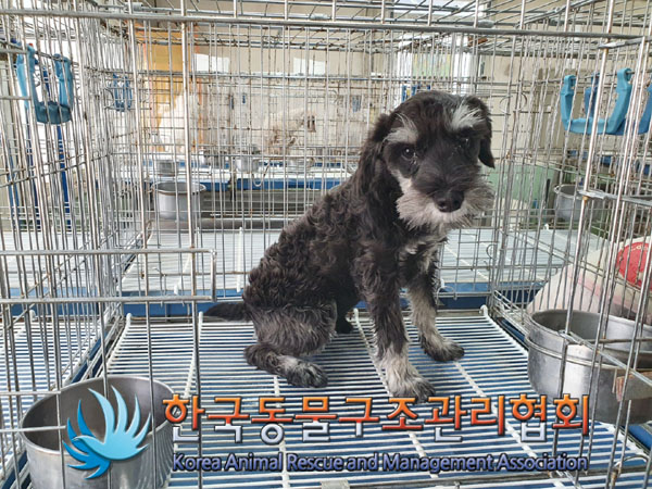 한국동물구조관리협회_411317202300074