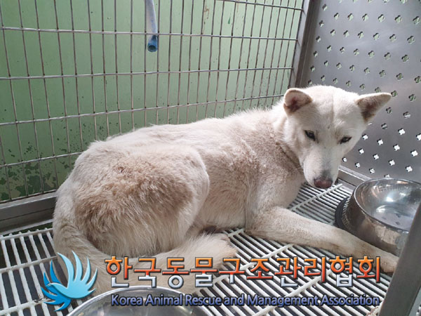 한국동물구조관리협회_441409202300471