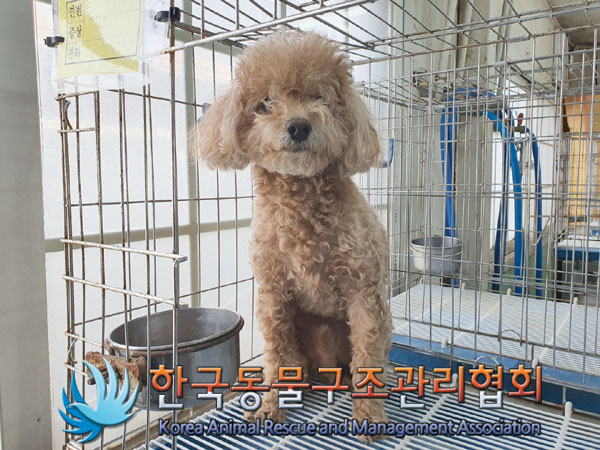 한국동물구조관리협회_411317202300073