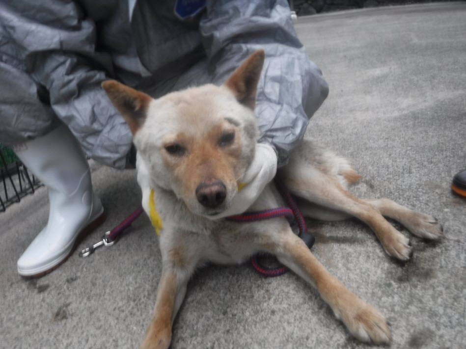 제주 동물보호센터_450650202301100