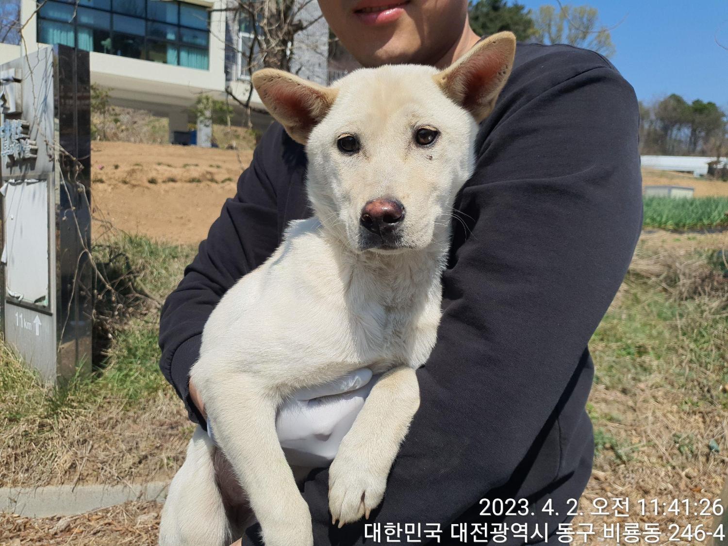대전동물보호센터_430364202300092