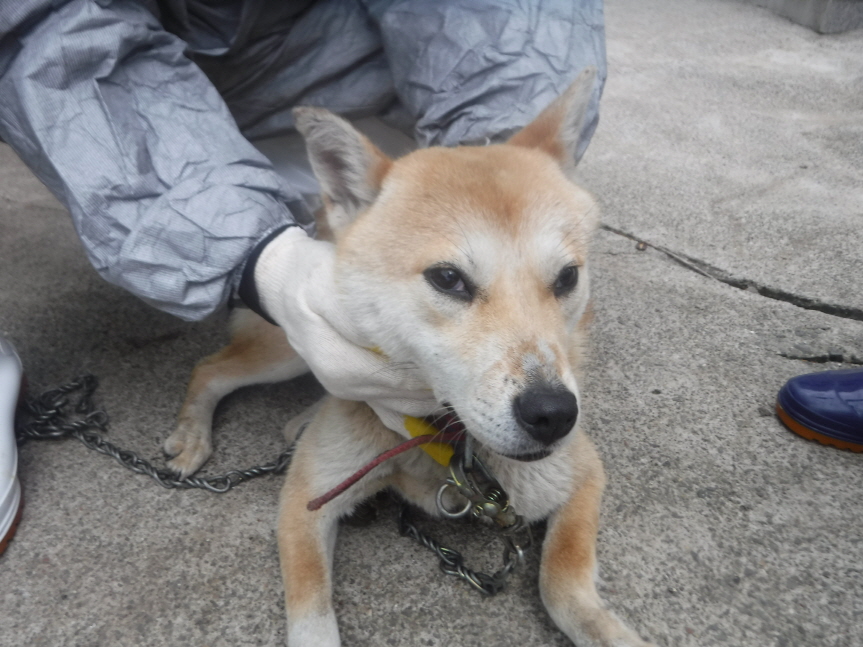 제주 동물보호센터_450650202301090