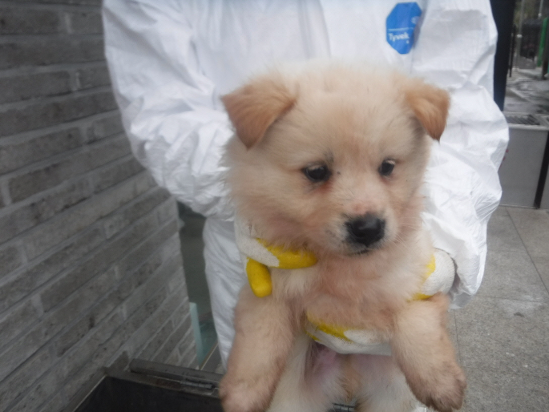 제주 동물보호센터_450650202301093