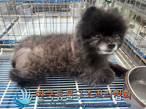 한국동물구조관리협회_411304202300213