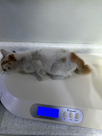 누리동물병원_426333202300094